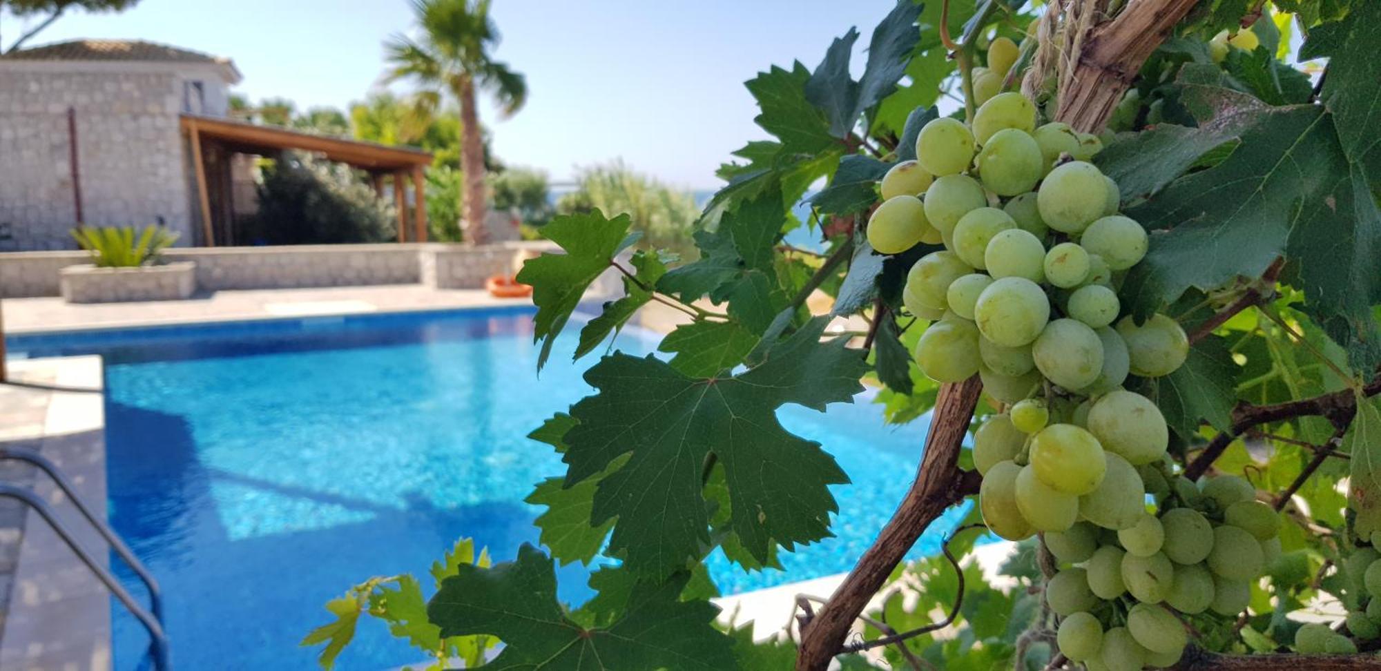 Villa Sealine Pefki  Номер фото